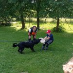 phoca_thumb_m_agility 83 Fotogalerie
